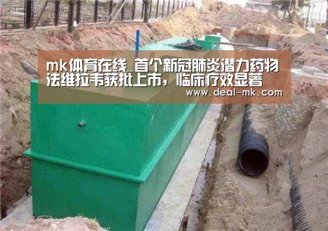 mk体育入口